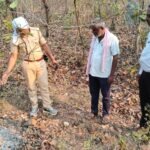 *पाथरी उपक्षेत्रात वाघाचा मृत्यू*